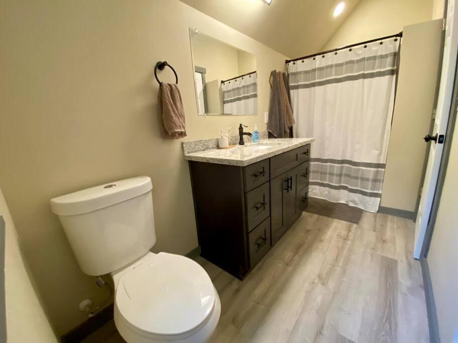 New Modern Cabin! 5Mi To Mt Rainier National Park! Hot Tub & Wifi Ashford Εξωτερικό φωτογραφία