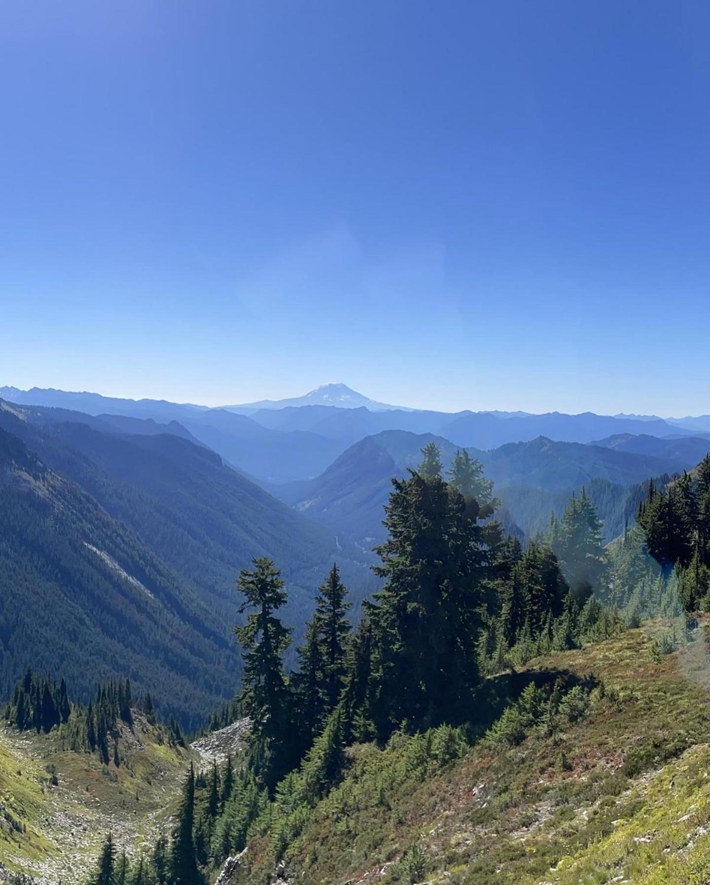 New Modern Cabin! 5Mi To Mt Rainier National Park! Hot Tub & Wifi Ashford Εξωτερικό φωτογραφία